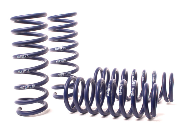 H&R Coil Spring Lowering Kit for BMW F13 650i, xDrive (2012-2019)