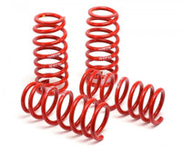 H&R Race Springs for BMW E92/E90 328i 335i 335is 325i 330i N51/N52/N54/N55 Turbo (2006-2013) - 50490-88 view 3